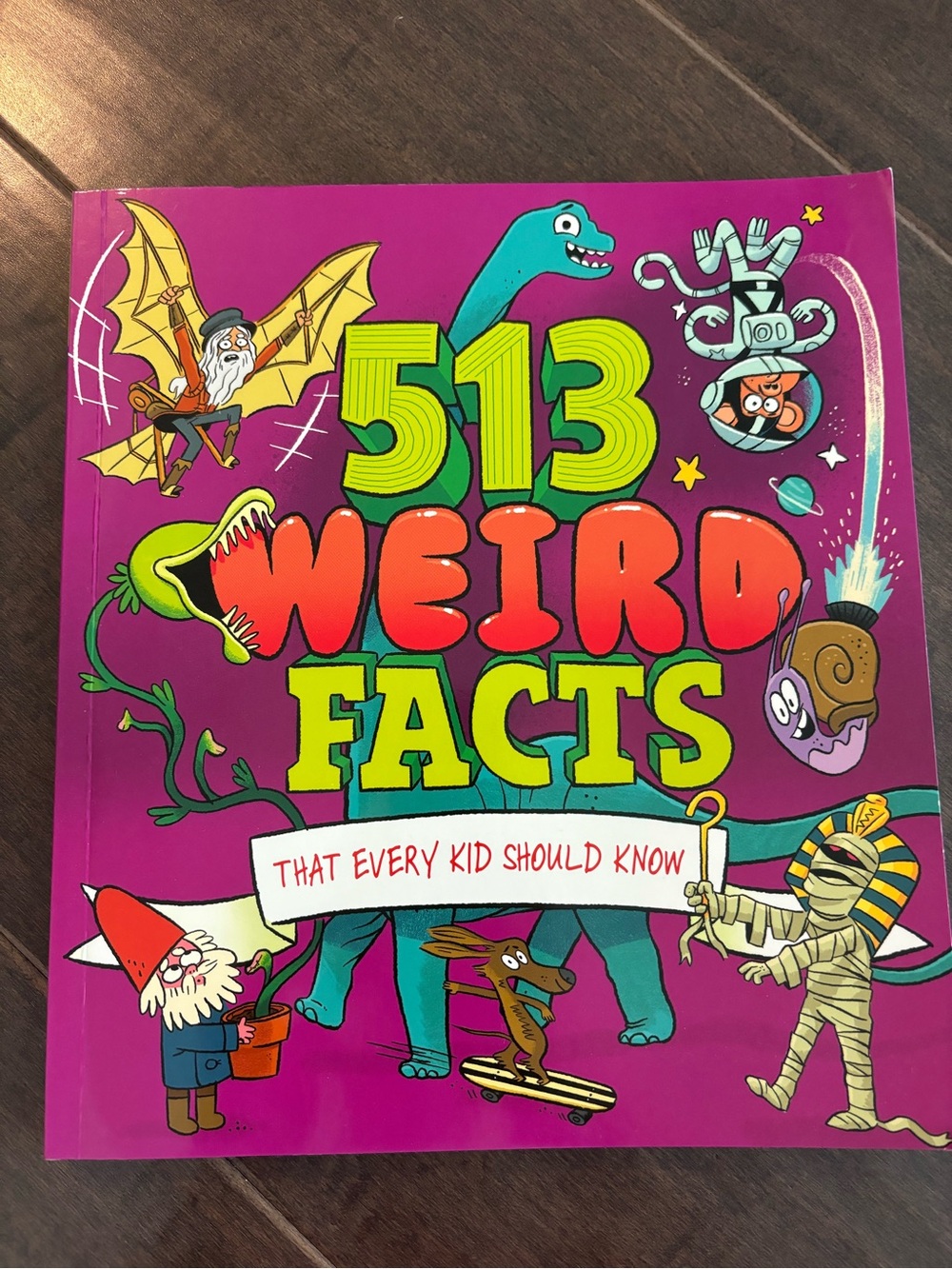 513 Weird Facts Kids Book — Bright Teal & Multicolor Cover